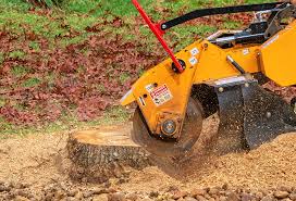 Best Aeration Services  in Terrytown, LA